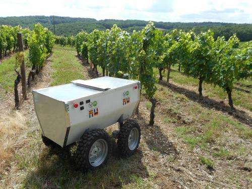 A robot to help improve wine production