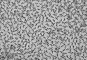 Arranging polymer nanotubes in a vertical array enhances piezoelectric properties for acoustic sensors