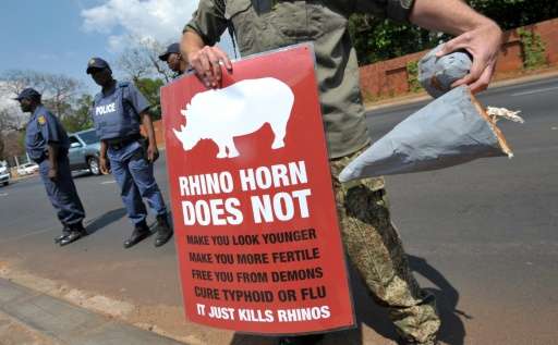 A South African protester holds a sign and a fake rhino horn during a demonstration outside the Chinese embassy in Pretoria, Sou