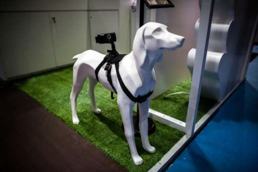 A special camera-enabled collar for dogs is displayed at the Hong Kong Electronics Fair in Hong Kong on October 13, 2015