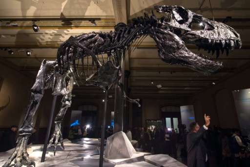 At 66 million years old, the Tyrannosaurus Rex named &quot;Tristan&quot; is in pretty good shape—the most complete of 50-odd T-r