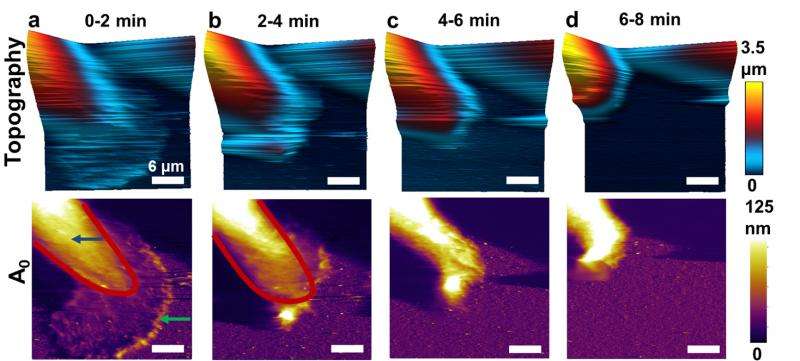 Atomic force microscope advance leads to new breast cancer research