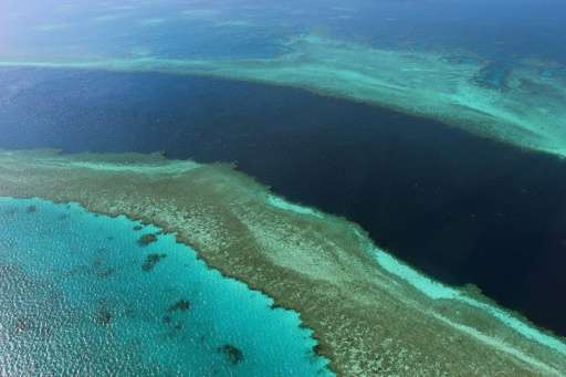 Australia has hailed a United Nations decision to keep the Great Barrier Reef off its in danger list as &quot;tremendous&quot;, 