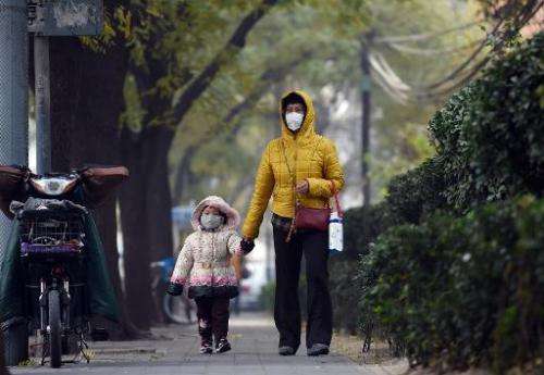 A woman and child wear masks on a polluted day in Beijing on November 26, 2014