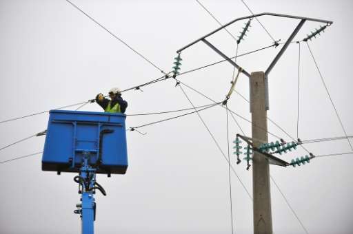 A worker deployed from electricity grid operator ERDF's rapid intervention team repairs damaged power lines on January 25, 2009