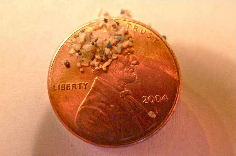 Ban on microbeads offers best chance to protect oceans, aquatic species