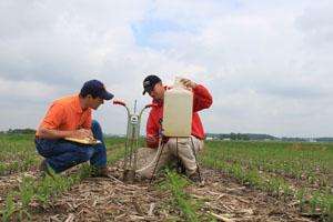Benefits of strip-till surface after five-year study