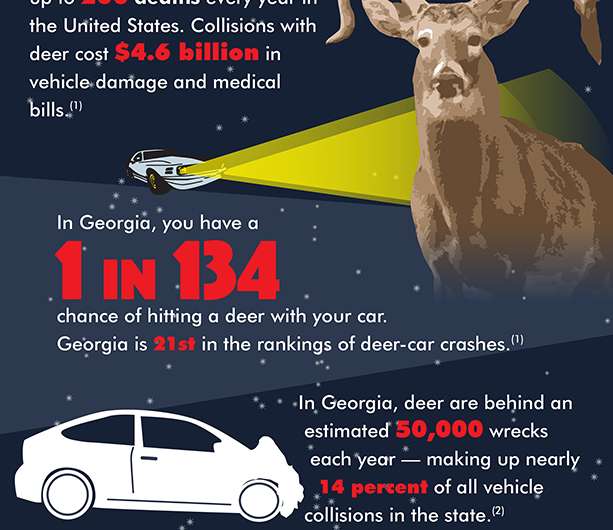 Be on the lookout this fall: Deer-vehicle collisions increase during breeding season