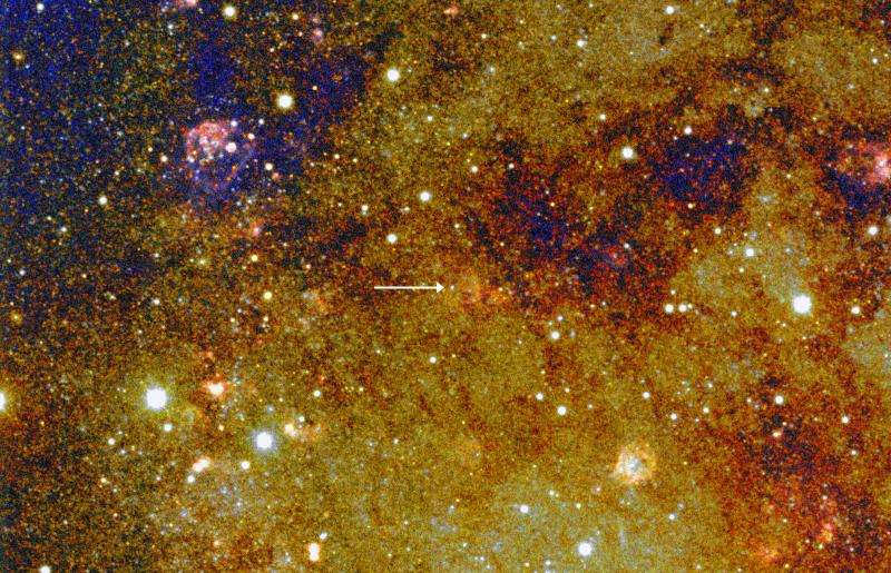 Best-candidate supernova erupting every year and on the brink of catastrophe