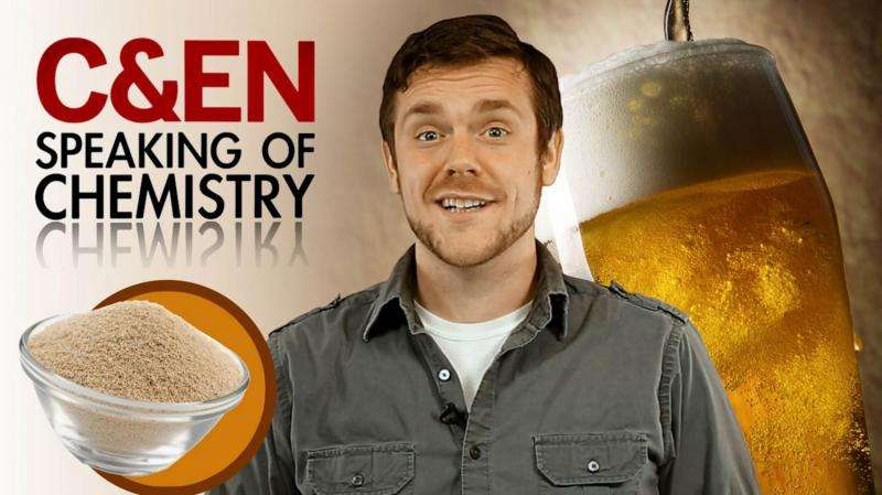 Better beer chemistry: It's all about the yeast (video)