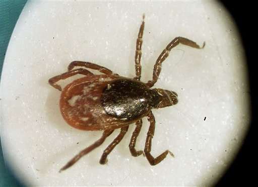 Beyond Lyme, new illnesses, more reason to watch for ticks