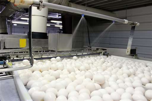 Bird flu found on South Dakota egg-laying chicken farm