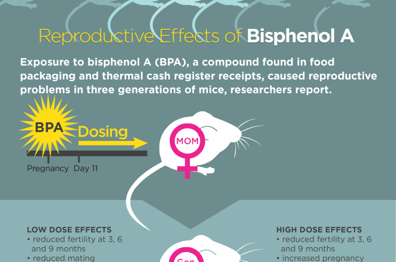 BPA exposure affects fertility in next three generations of mice