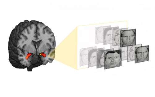 Brain marker hints at depression, anxiety years later