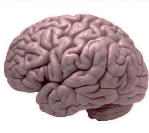 Brain's mysteries unraveled through computational neuropsychiatry