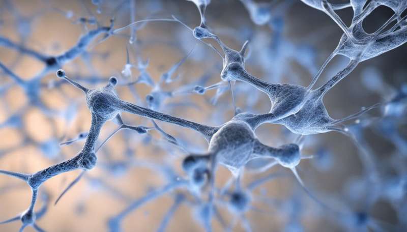 Brains work via their genes just as much as their neurons