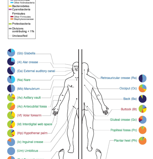 Broad-spectrum antimicrobials—considering ‘holobiont’ welfare