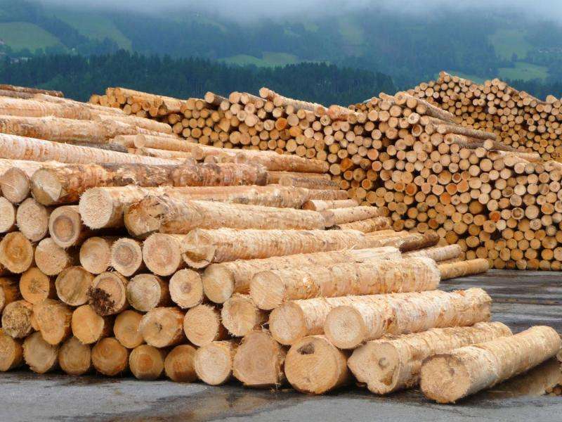 Build or burn? Competition for wood on the rise
