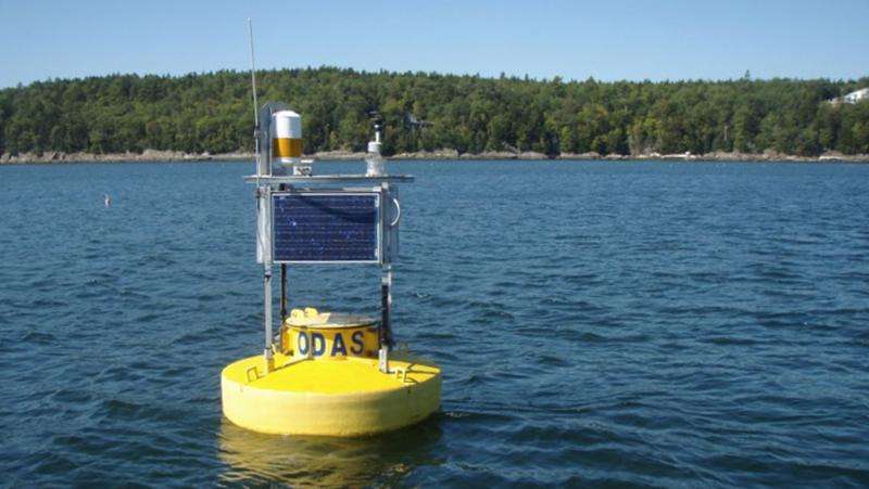 Buoy data to inform how aquaculture fits into working waterfront
