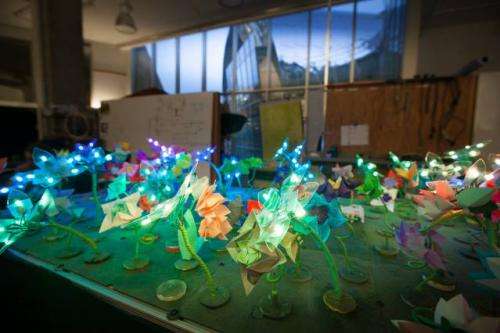 Can an LED-filled “robot garden” make coding more accessible?