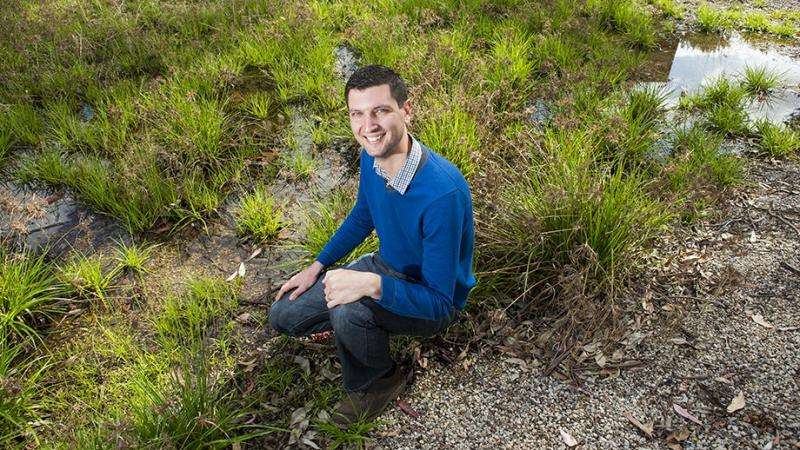 Canberra's frog populations remain healthy