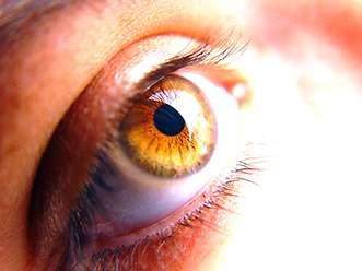 Can Vitamin D improve your eyesight?