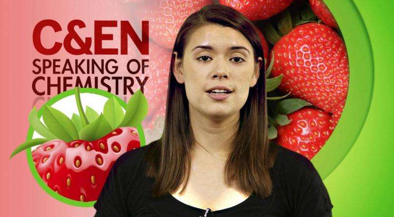 Can we save the strawberries? (video)