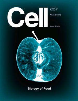 Cell celebrates intersection of food and science in special issue