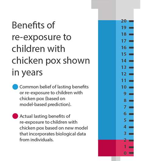 Chickenpox vaccination does increase shingles cases, but mainly in young adults