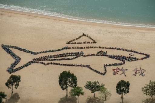 Children form a shark on a beach as part an event aimed at raising awareness on shark fin trade and consumption in Hong Kong on 
