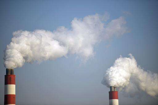 Chimneys spew emissions at a power station in Shanghai on November 28, 2013
