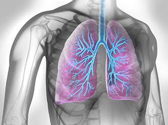 Circulating small cell lung cancer cells successfully cultivated for the very first time