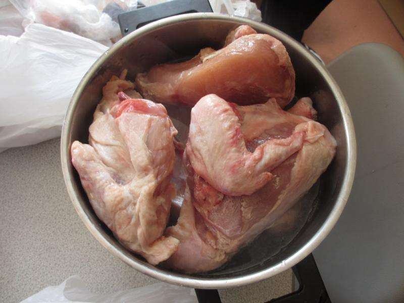 C is for chicken (and campylobacter)