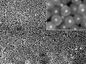 Coating noble metal nanoparticles with silica