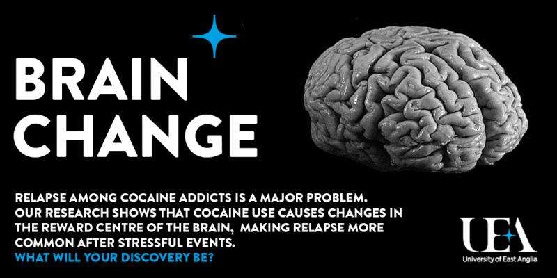 Cocaine changes the brain and makes relapse more common in addicts