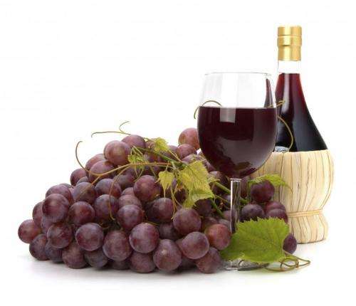 Compound found in grapes, red wine may help prevent memory loss