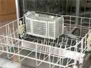 Could a dishwasher raise your child's allergy, asthma risk?