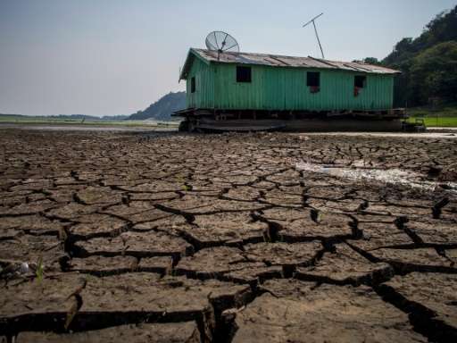 Cracked soil sits on the bed of the Aleixo Lake in the Amazonas, Brazil, on October 23, 2015 as the region suffers a severe drou
