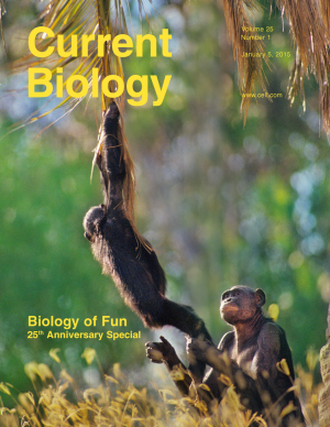 Current Biology reviews the biology of fun