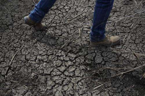 Cutting back on water use: Q&A on California's drought