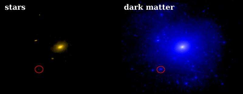Dark matter dominates in nearby dwarf galaxy