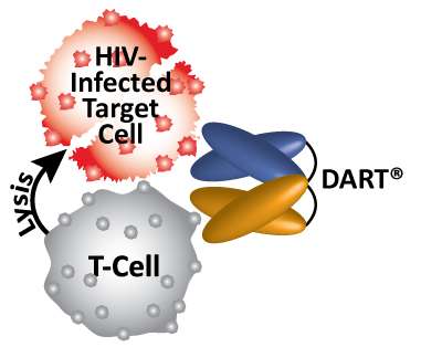 DART protein shows potential as shock-and-kill strategy against HIV