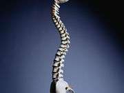 D-dimer levels predict DVT in cervical spinal cord injury