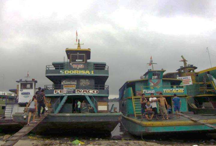 Dengue mosquitoes hitch rides on Amazon river boats