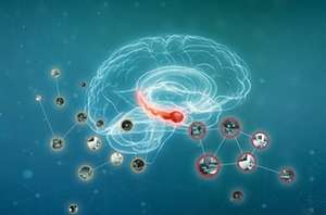 Different memory resolutions map onto different brain locations