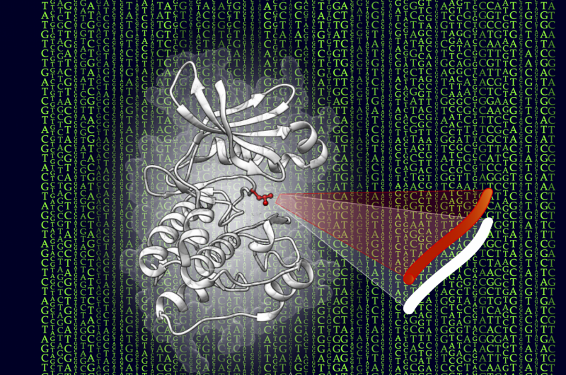 Digital 'Rosetta Stone' decrypts how mutations rewire cancer cells