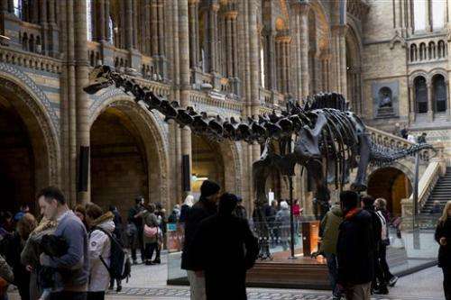 Dinosaur no more: UK museum's Dippy to be retired in 2017