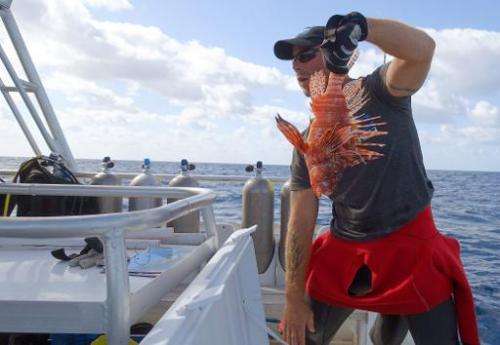 Diver Eric Billips holds up a lionfish caught during the Winter Lionfish Derby in the waters off Islamorada, Florida