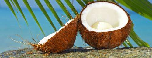 Does coconut oil live up to the hype?