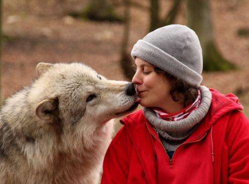Dog-human cooperation is based on social skills of wolves
